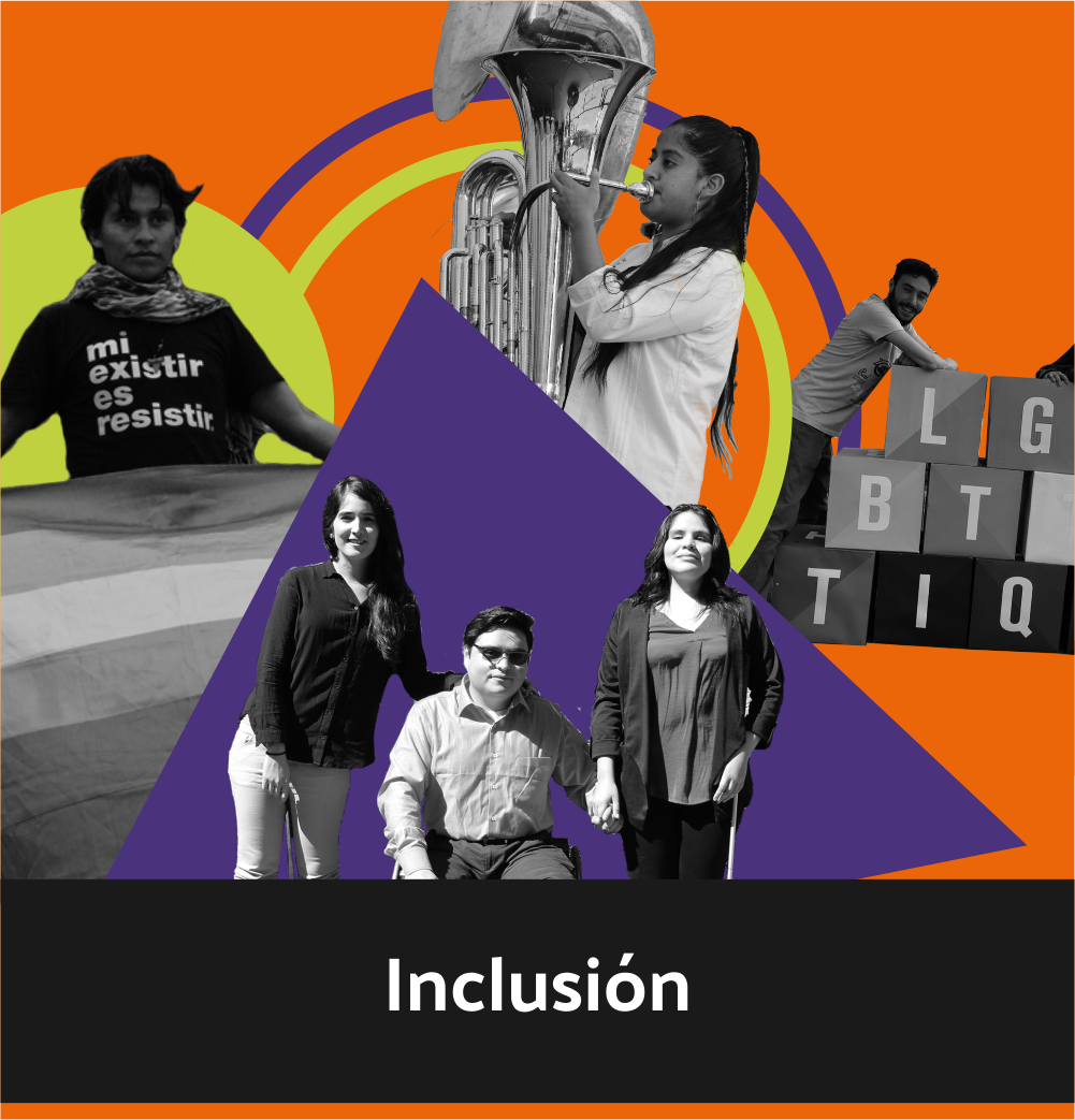 inclusion