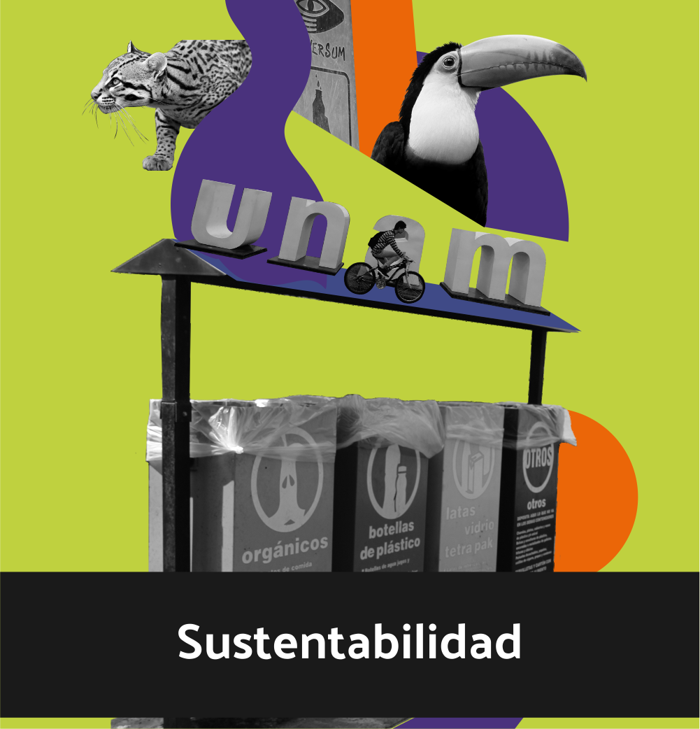 sustentabilidad